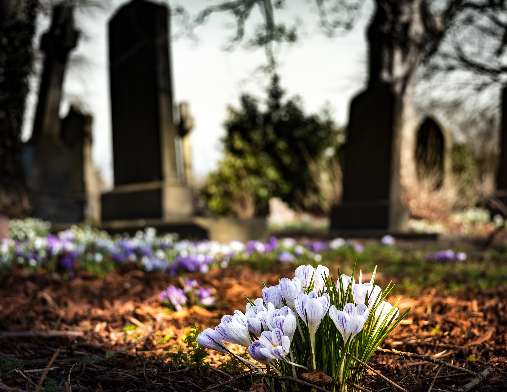 Glossary Of Funeral Terms Definitions Beyond