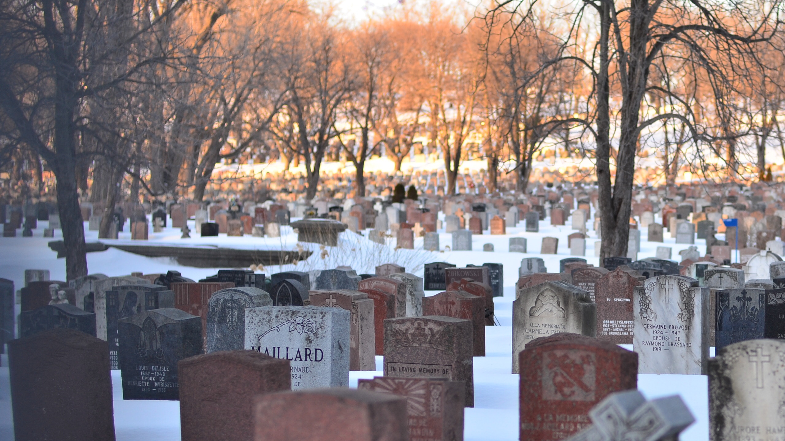 cemetery vs graveyard